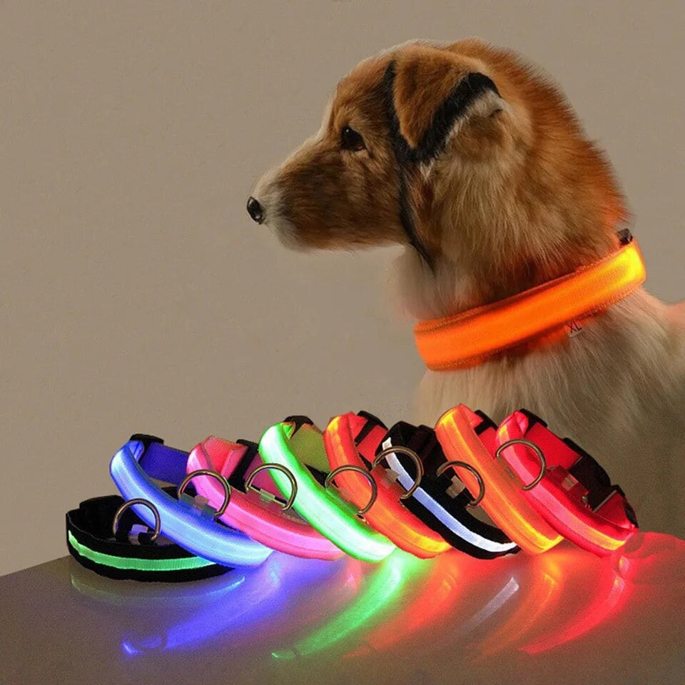 Collar de perro con Luces