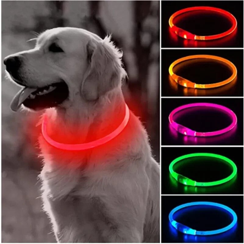 Collar Luminoso Ajustable Led 🐕