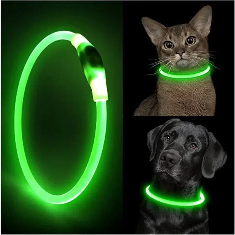 Collar Luminoso Ajustable Led 🐕